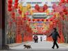 История и традиции празднования китайского нового года Как проходит китайский новый год