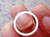 Hur man botar avlossning av nagelplattan